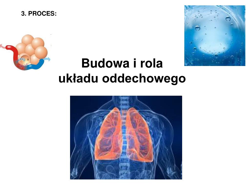 Uklad Oddechowy Klasa 7 Test PPT - Temat: BUDOWA I ROLA UKŁADU ODDECHOWEGO PowerPoint Presentation