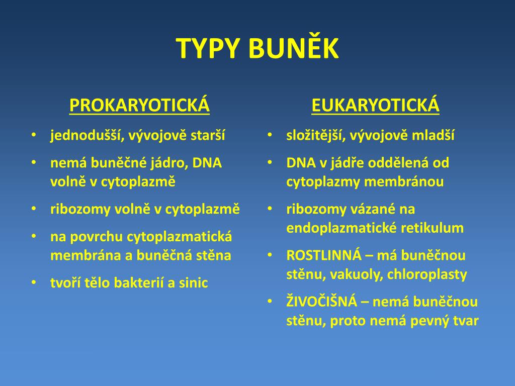 Který typ organismu nemá buněčnou stěnu?