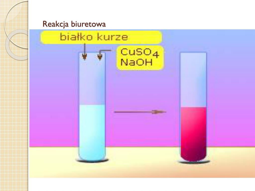 Reakcja Biuretowa Na Czym Polega PPT - DANE INFORMACYJNE PowerPoint Presentation, free download - ID:5153411