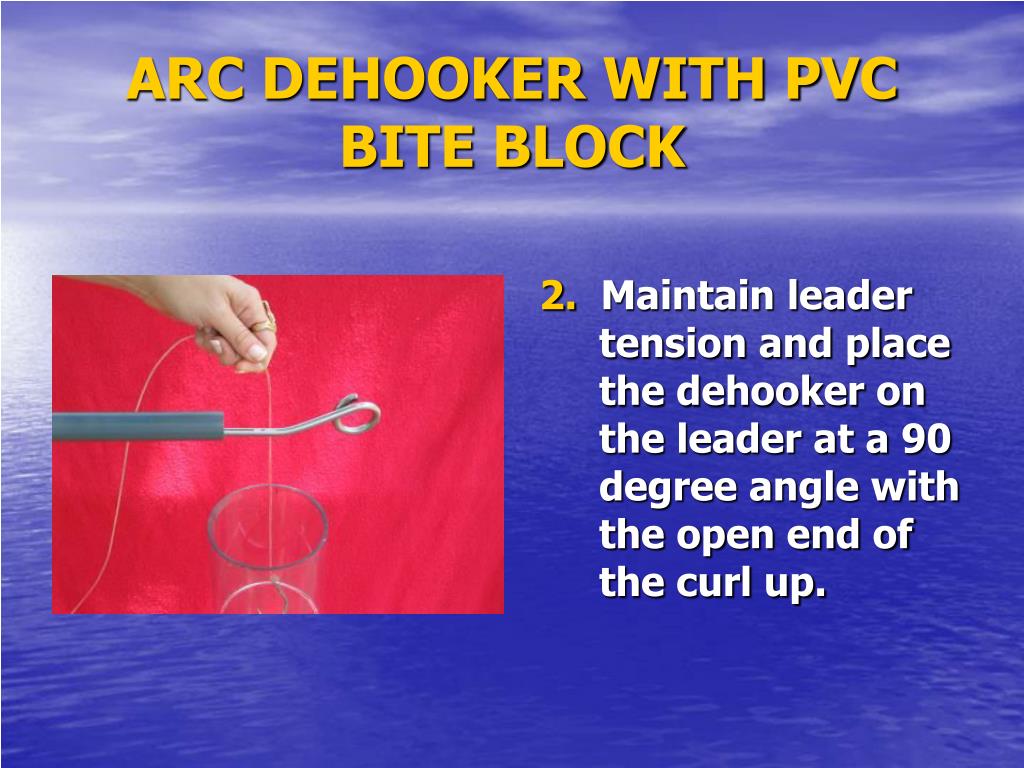 Removing hook with an ARC Pole Big Game Dehooker (NMFS/SEFSC photo