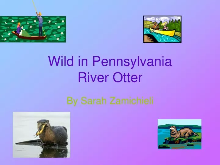 wild in pennsylvania river otter n.