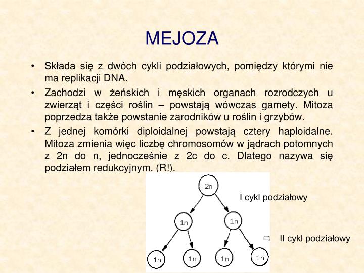 Różnice Między Mitozą A Mejozą PPT - Materiały pochodzą z Platformy Edukacyjnej Portalu szkolnictwo.pl
