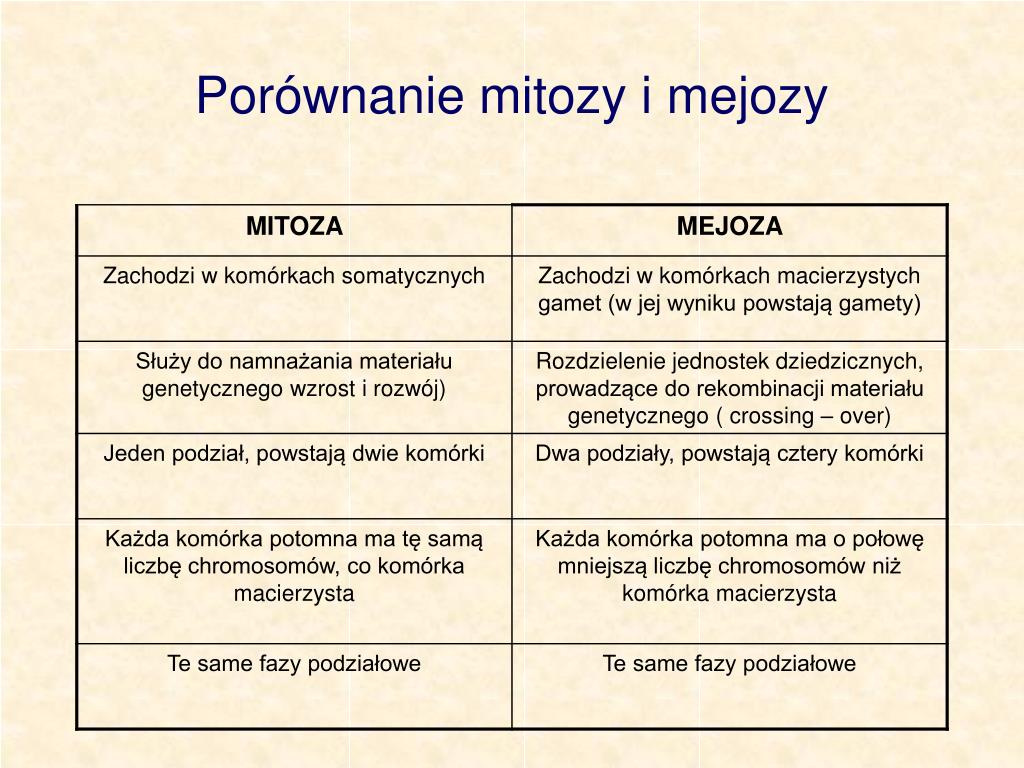 Karta Pracy Porównanie Mitozy I Mejozy Odpowiedzi PPT - Materiały pochodzą z Platformy Edukacyjnej Portalu szkolnictwo.pl