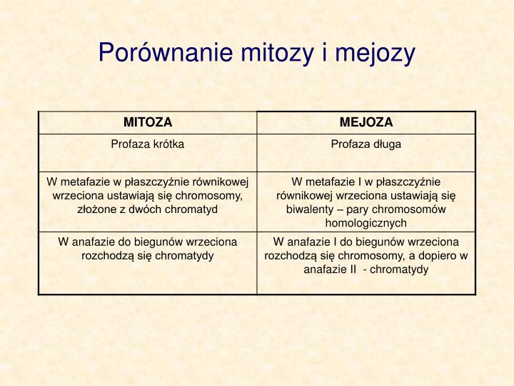 mitoza i mejoza sprawdzian mitoza i mejoza sprawdzian