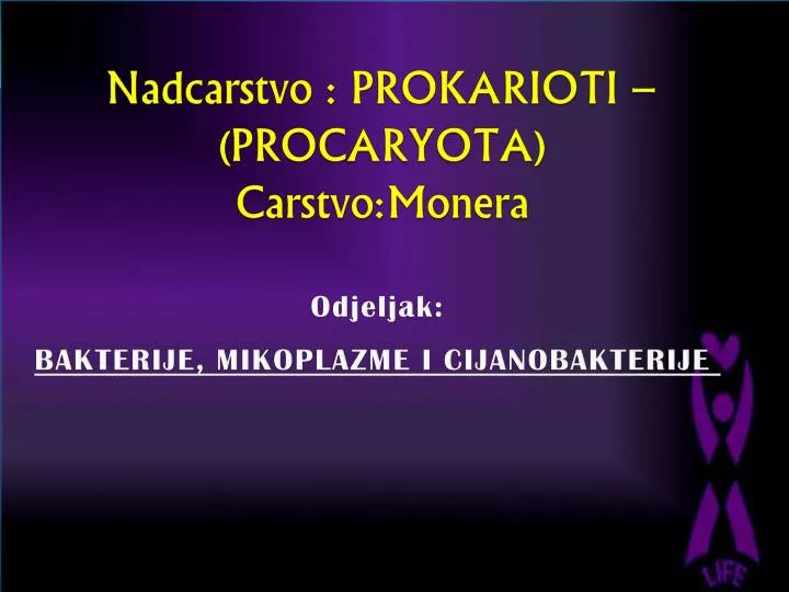 nadcarstvo prokarioti procaryota carstvo monera n.