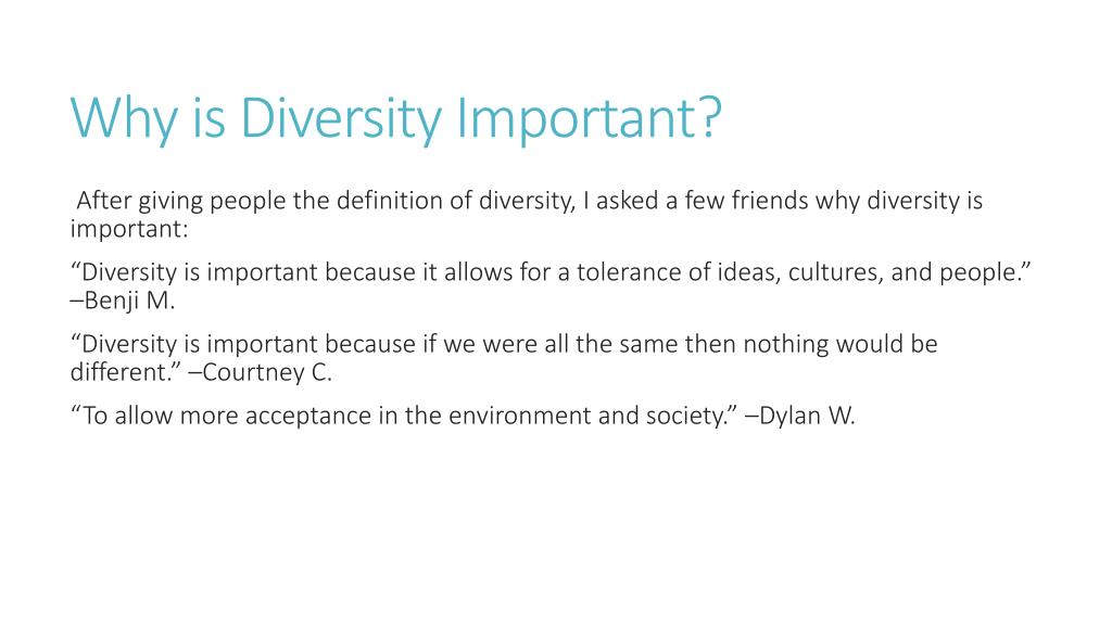 essays about the importance of diversity