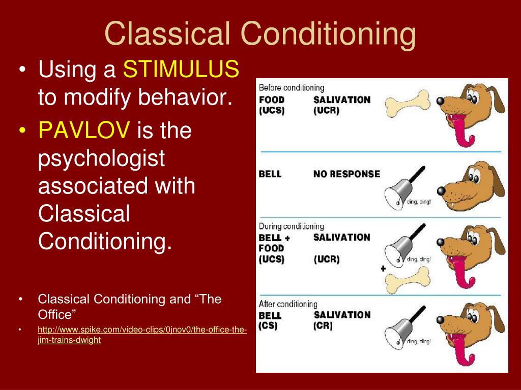 Classical Conditioning L 