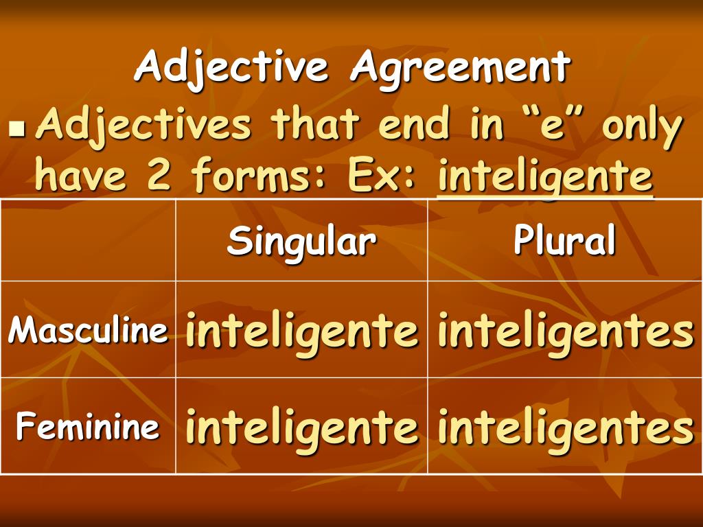 ppt-review-of-adjective-agreement-ser-nouns-articles-powerpoint-presentation-id-5166468