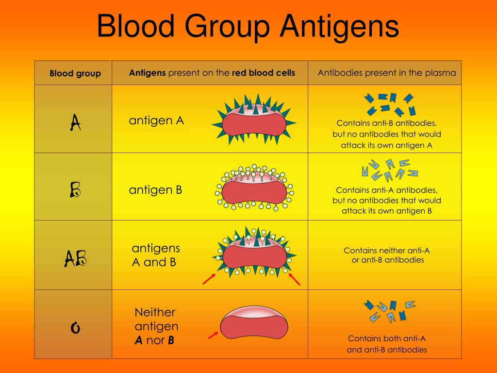 Антигены первой группы. Blood Group antigens. Антиген b. Антигены а и б. Антигены типа а и б.