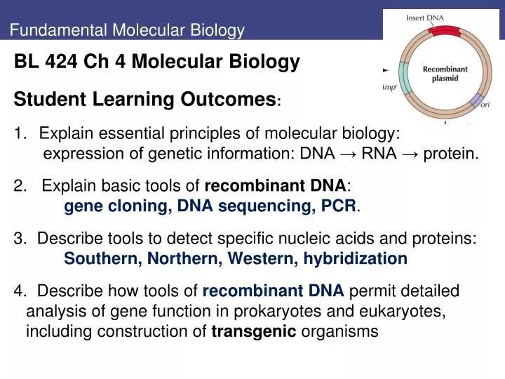 PPT - Fundamental Molecular Biology PowerPoint Presentation, free download - ID:5173733