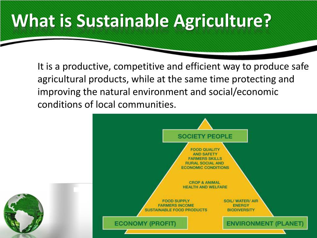 PPT - Moving towards Sustainable agriculture PowerPoint Presentation, free download - ID:5173743