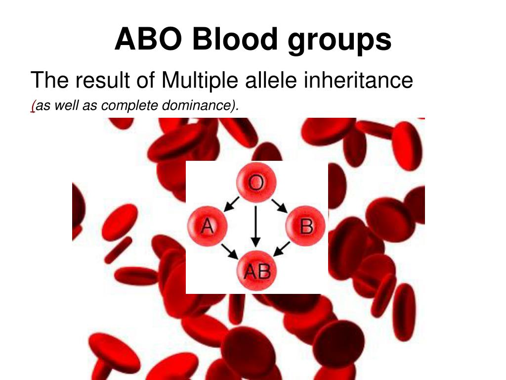 ppt-multiple-allele-inheritance-blood-types-powerpoint-presentation-id-5174254
