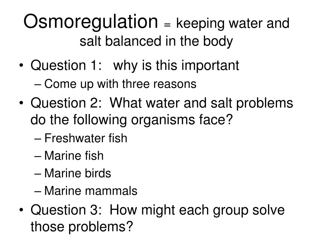 PPT - Osmoregulation = keeping water and salt balanced in the body  PowerPoint Presentation - ID:5175880