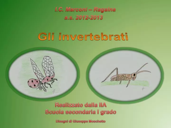 Ppt Gli Invertebrati Powerpoint Presentation Free Download Id