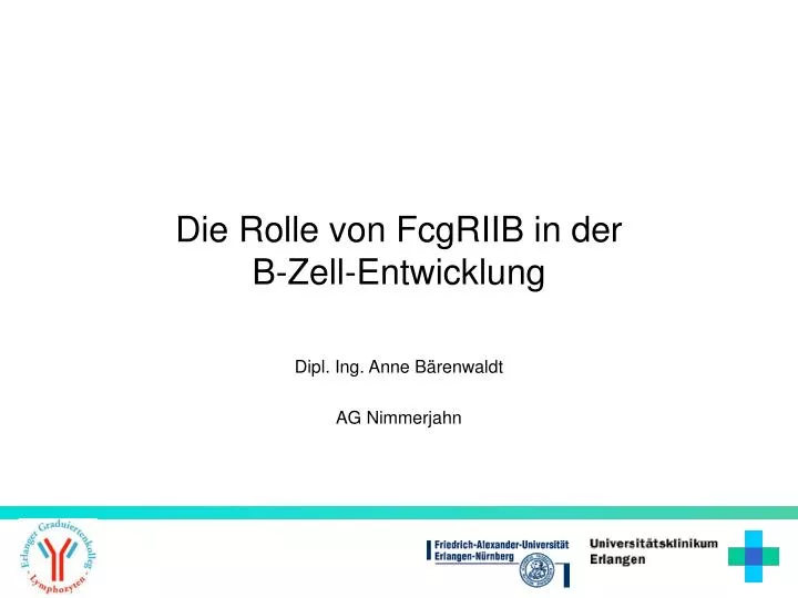 PPT - Die Rolle Von FcgRIIB In Der B-Zell-Entwicklung PowerPoint ...