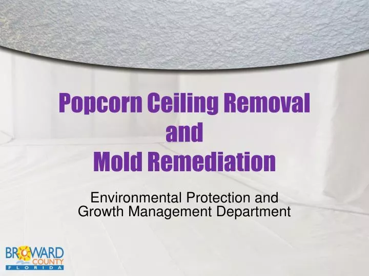 Ppt Popcorn Ceiling Removal And Mold Remediation