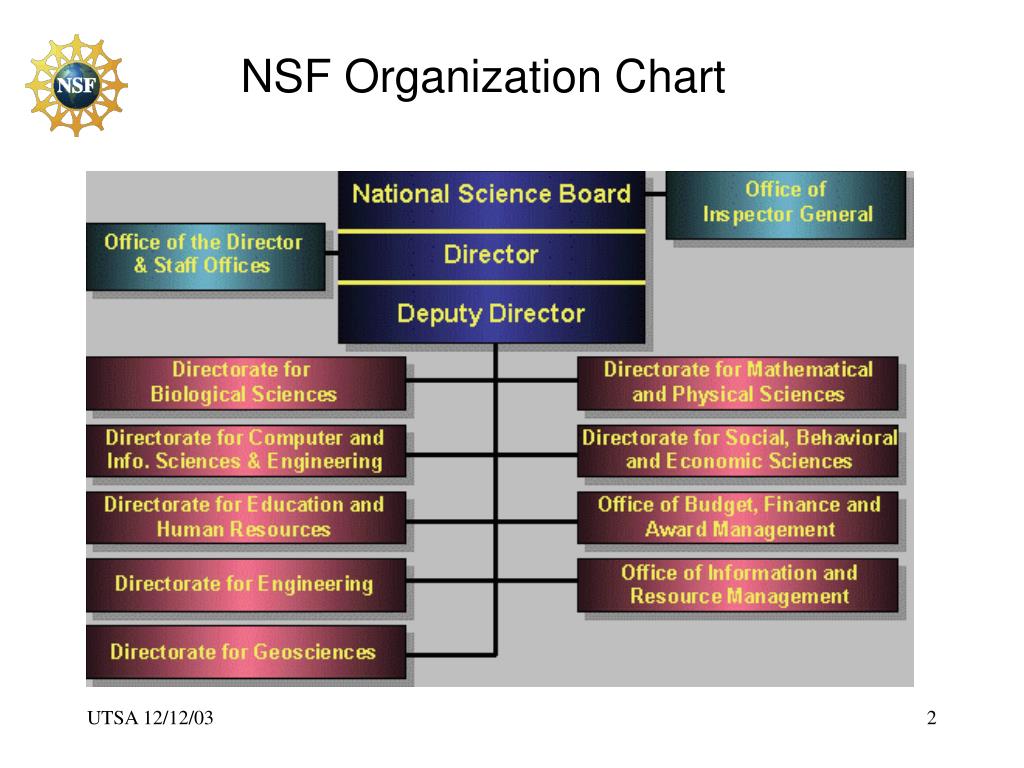 Nsf Org Chart
