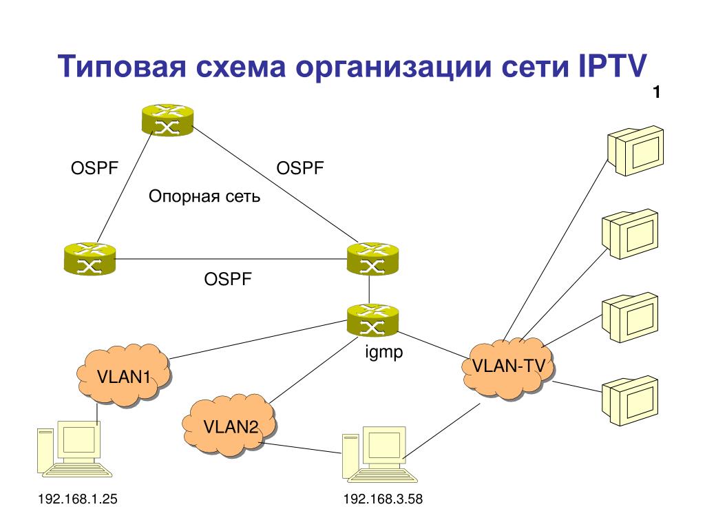 Организация ip сетей. Структурная схема IPTV. Структурная схема IP телевидения. Структурная схема сети IPTV. IPTV сеть.
