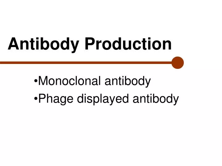 Rabbit Monoclonal Antibody preparation by phage display