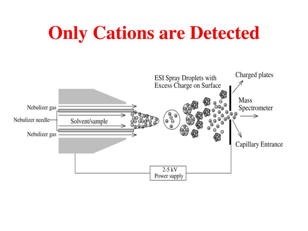 Ppt Mass Spectrometry Powerpoint Presentation Free Download Id5191047 6880