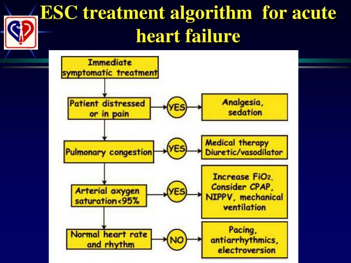 PPT Current treatment of acute heart failure PowerPoint Presentation