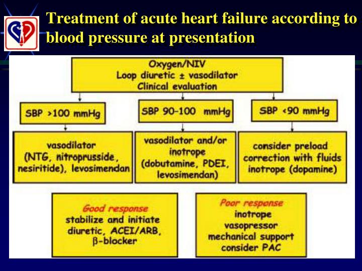 heart failure treatment guidelines 2012 ppt