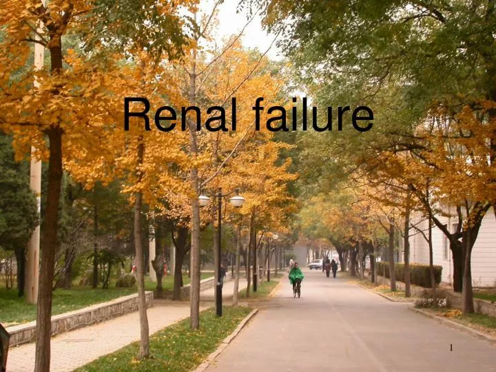renal failure n.