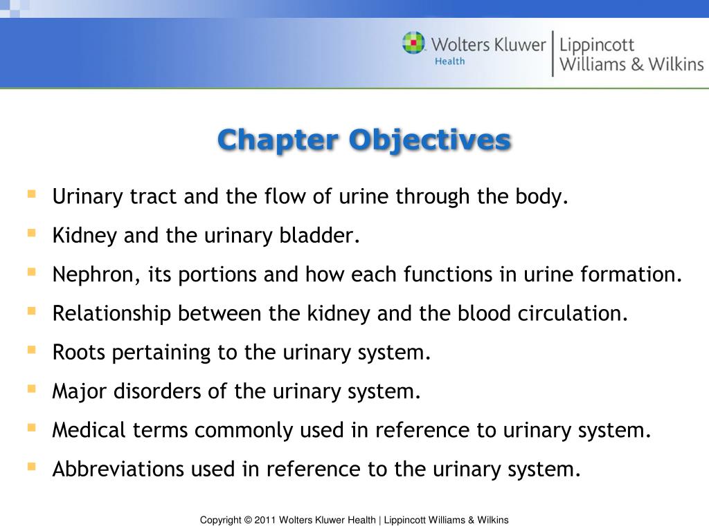 assignment 8.1 chapter 13 urinary system chapter review