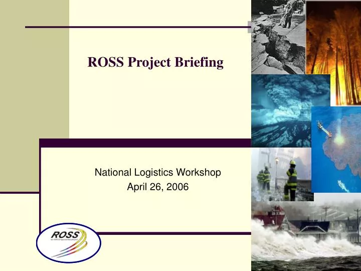 ross project briefing n.
