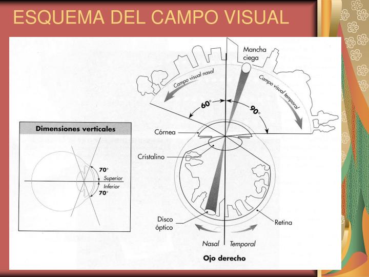 PPT - Historia Clínica y Exploración Oftalmológica PowerPoint
