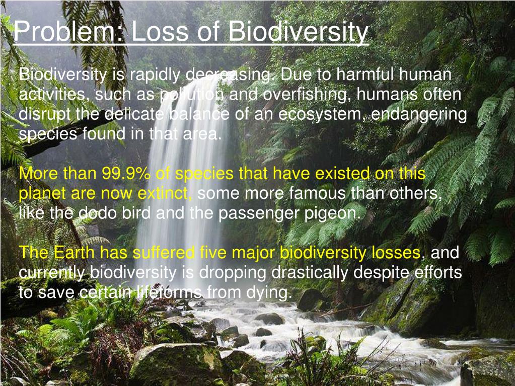 presentation on loss of biodiversity
