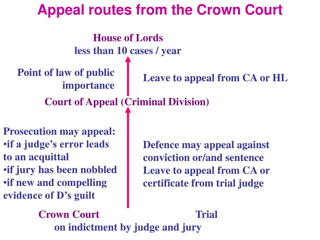 PPT - The Criminal Courts and Lay People PowerPoint Presentation, free  download - ID:5198742