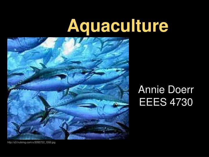 PPT Aquaculture PowerPoint Presentation Free Download ID 5199379