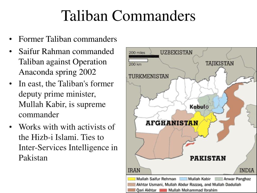 PPT - Muslim Radicalism in Pakistan and Afghanistan PowerPoint ...