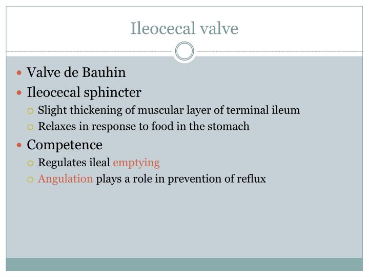 PPT Colon Anatomy and Physiology PowerPoint Presentation ID5203437