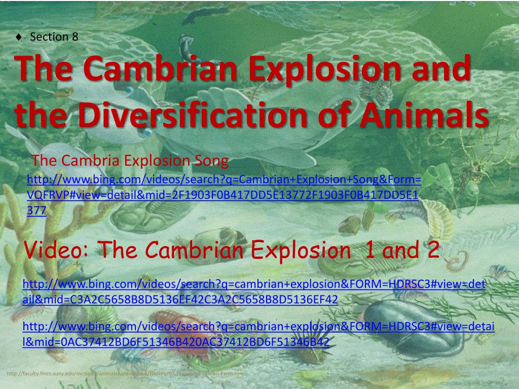 PPT - Section 8 The Cambrian Explosion and the Diversification of Animals  PowerPoint Presentation - ID:5204276