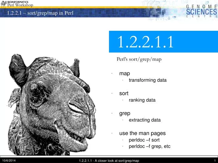 PPT - 1.2.2.1.1 Perl’s sort/grep/map PowerPoint Presentation, free download - ID:5204389