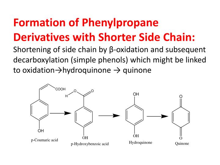 shikimic acid fermentation Moved permanently the document has moved here. shikimic acid fermentation Moved permanently the document has moved here.