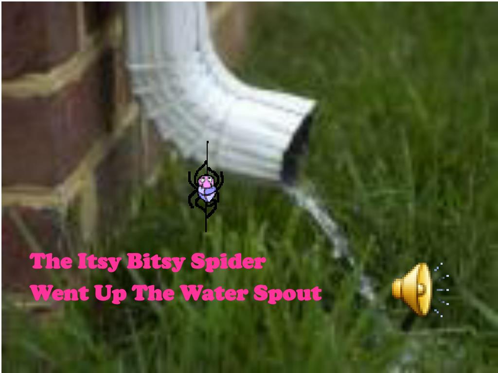 Itsy Bitsy Spider Song  Itsy Bitsy spider went up the water spout