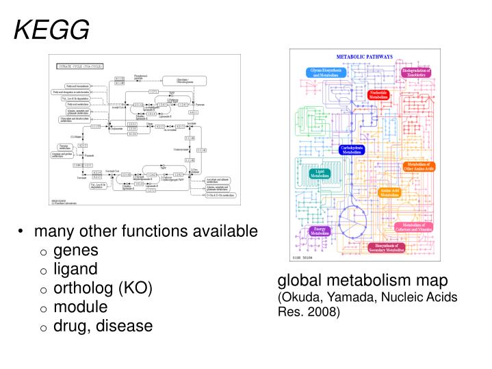 cytoscape and blast2go cytoscape and blast2go