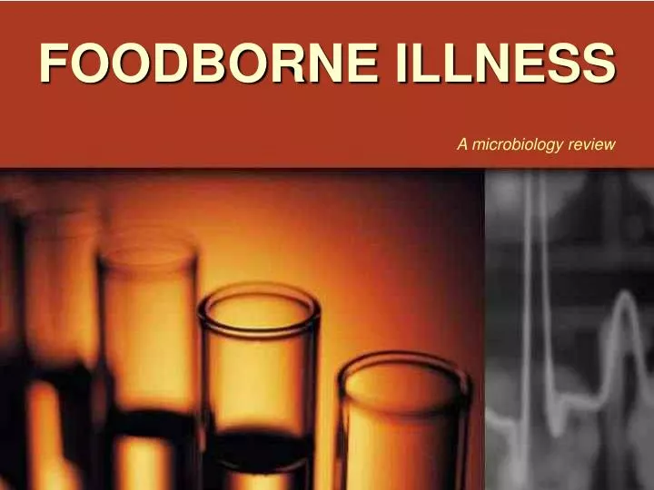 foodborne illness n.