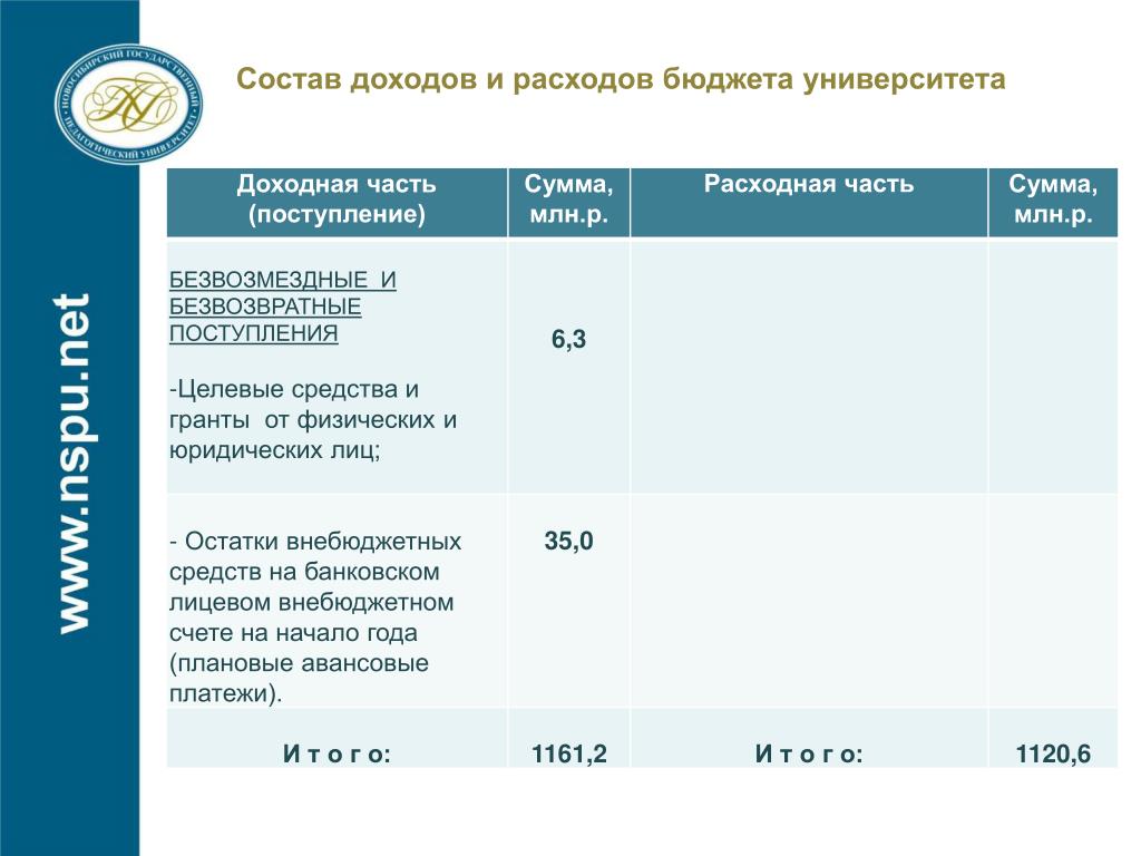 Бюджетные институты россии