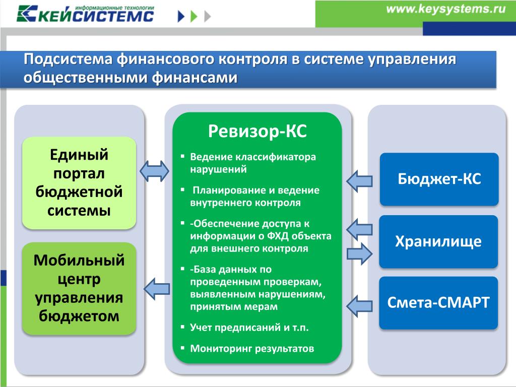 Ведение внутреннего. Подсистемы бюджетного контроля. Подсистема финансового мониторинга. Отдел финансового контроля. Органы управления публичными финансами.