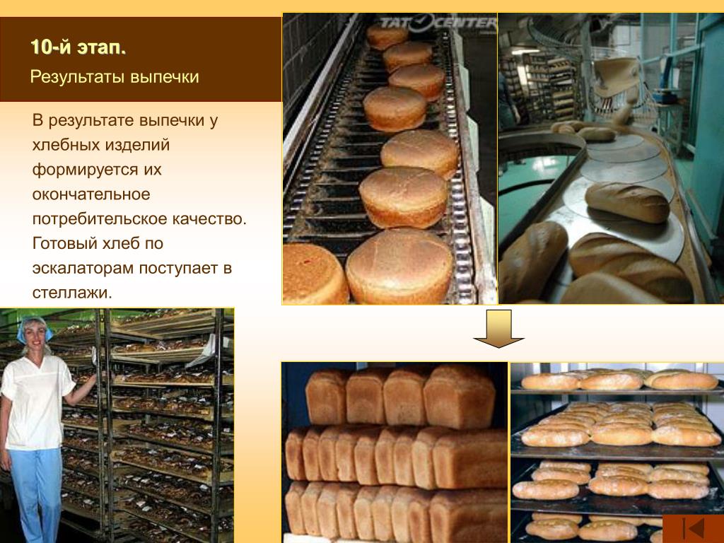 Этапы приготовления хлеба. Технология производства хлеба. Этапы производства хлеба и хлебобулочных изделий. Способы выпечки хлебобулочных изделий. Стадии производства хлеба.