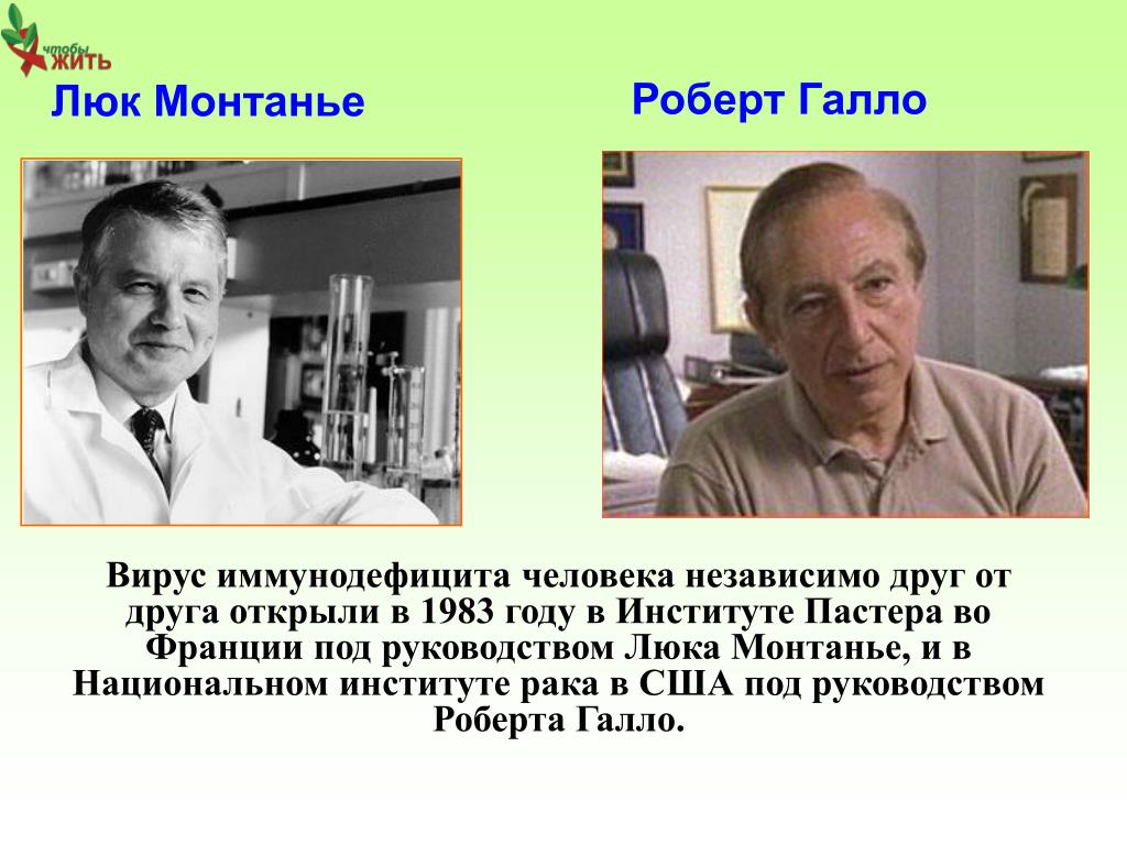 Ученые о вич последние. Люк Монтанье французский биолог. Люк Монтанье открыл вирус вызывающий ВИЧ/СПИД В 1990 Г. Галло и Монтанье ВИЧ.