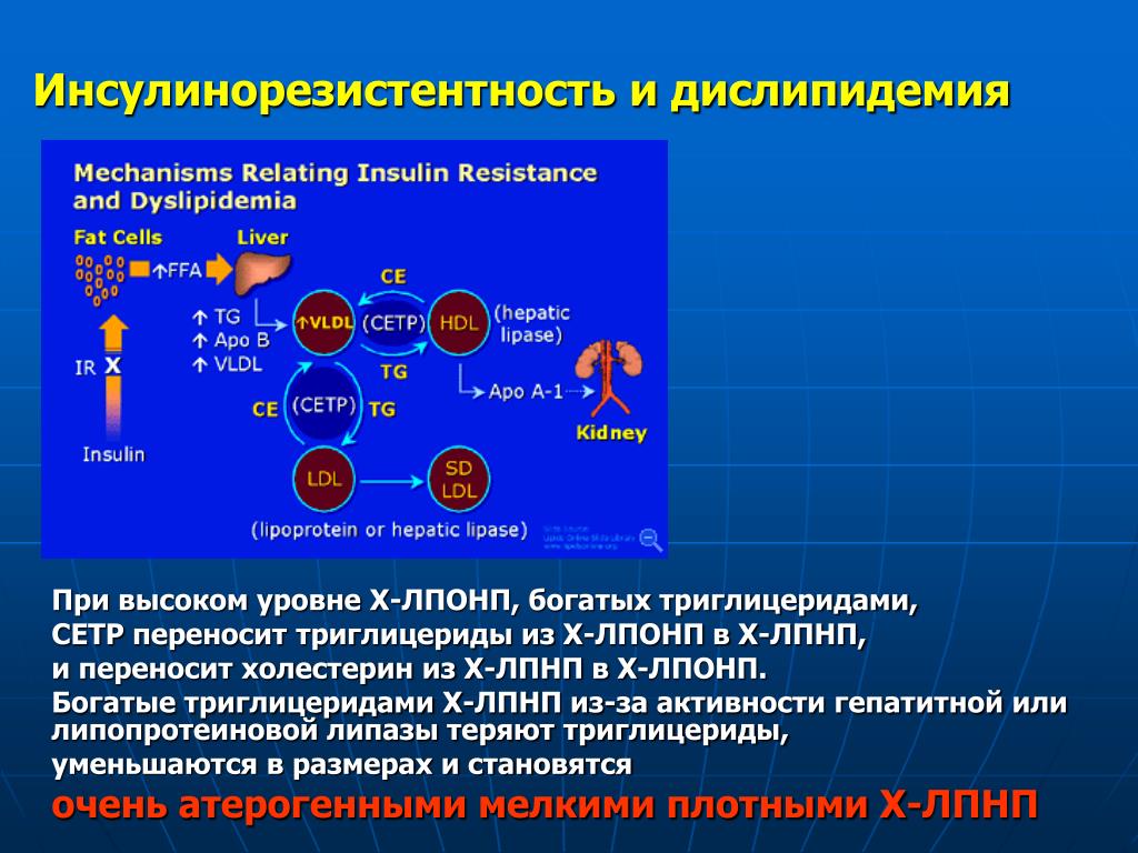 Инсулинорезистентность как лечить в домашних условиях. Инсулинорезистентность. Инсулинорезистентность болезни. Причины развития инсулинорезистентности. Клинические проявления инсулинорезистентности.