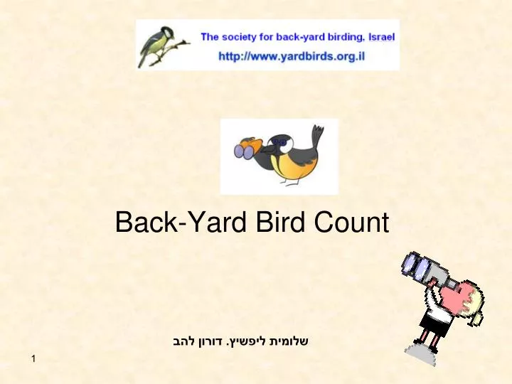 back yard bird count n.