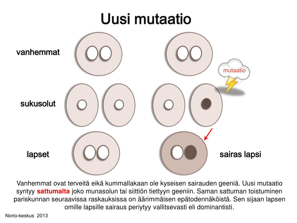 PPT - Uusi Mutaatio PowerPoint Presentation, Free Download - ID:5216849