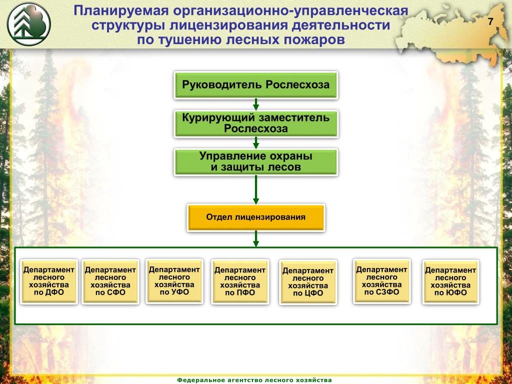 Территориальное управление лесного хозяйства