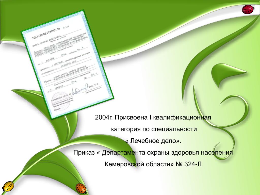 Лечебное дело СПО 2004.